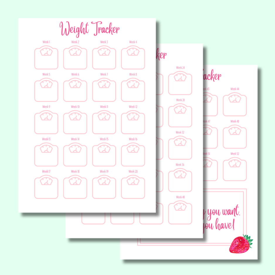 Strawberry Sparkles -Diet Planner - Page Insert Set