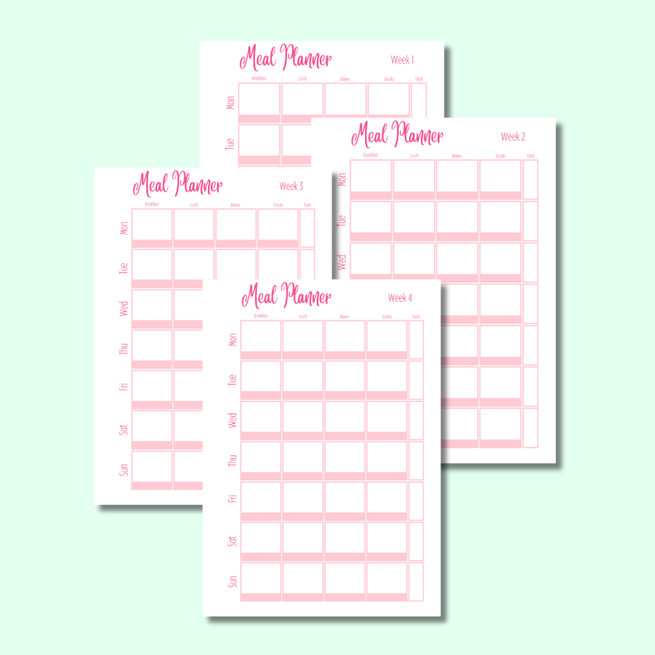 Strawberry Sparkles -Diet Planner - Page Insert Set