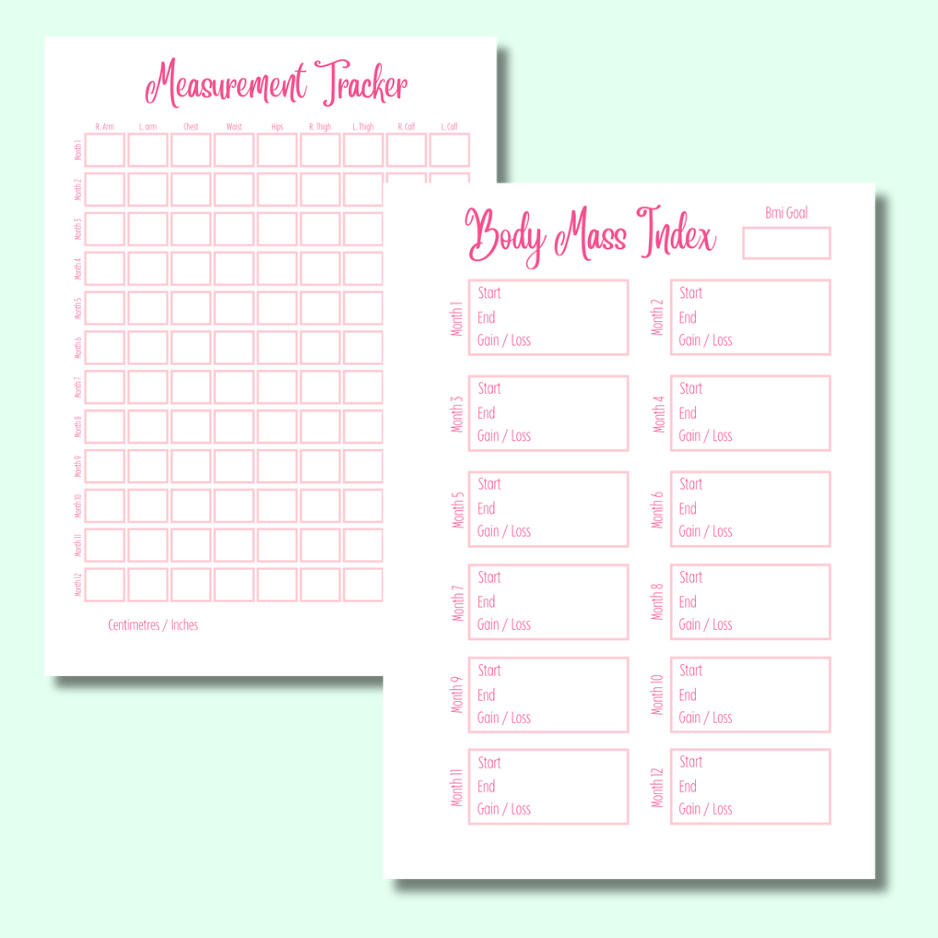 Strawberry Sparkles -Diet Planner - Page Insert Set