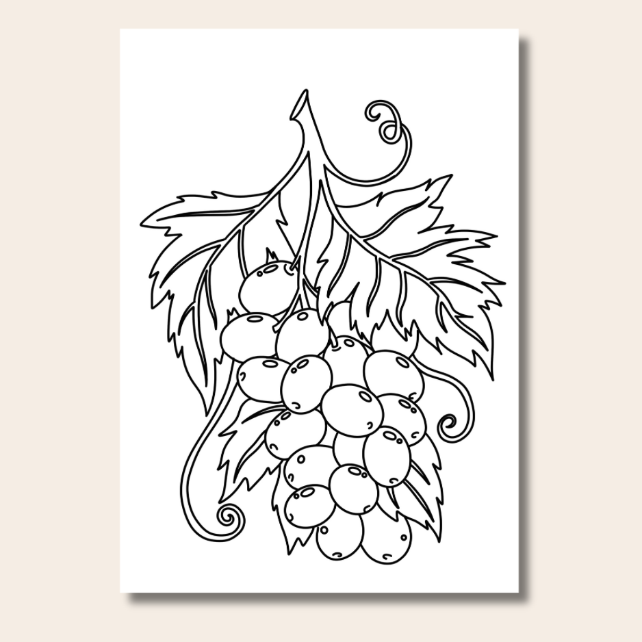 Food & Snacks - Colouring Book