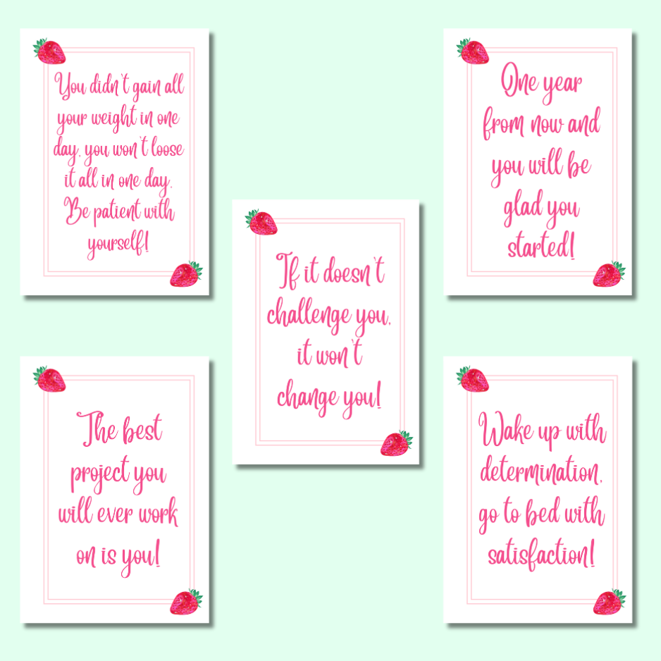 Strawberry Sparkles -Diet Planner - Page Insert Set