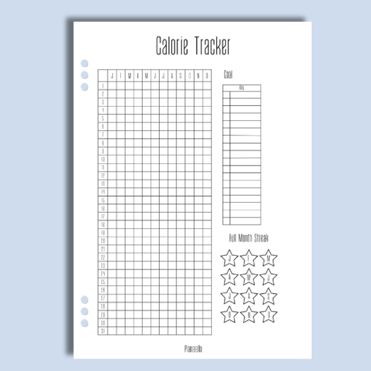 Calorie Tracker - Single Page
