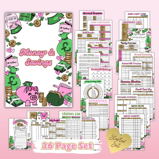 Money & Savings Set - 1 Month Bundle - 25 Page Inserts & Divider