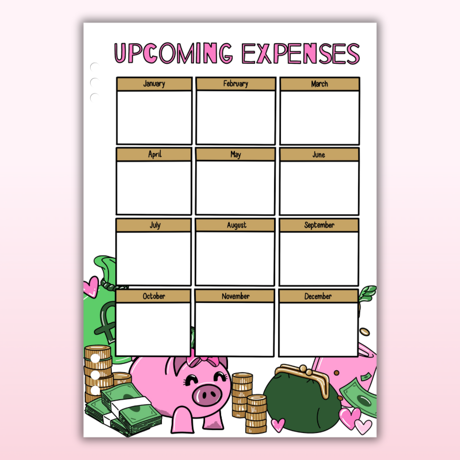Money & Savings Set - 1 Month Bundle - 25 Page Inserts & Divider